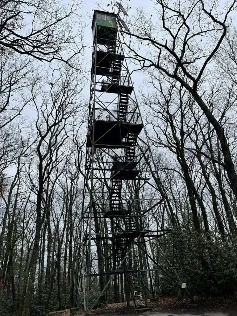 Cook Forest Fire Tower / Cabins with Hot Tubs Near Me
